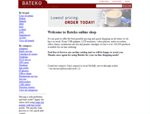 Tablet Screenshot of bateko.com